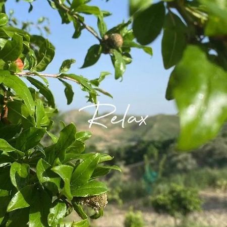 Casa Vacanze Sicilia Casteltermini 外观 照片